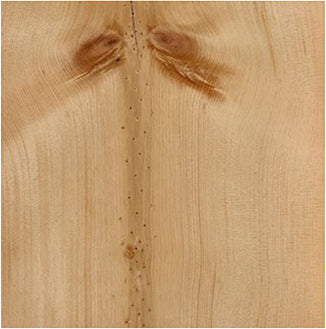 Swiss stone pine
